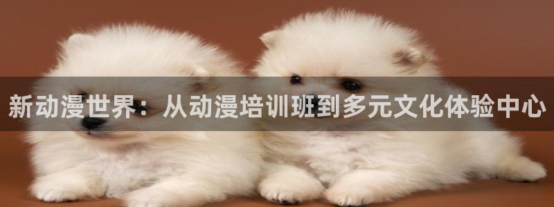 天堂动漫在线：新动漫世界：从动漫培训班到多元文化体验中心