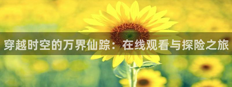 动漫天堂在线：穿越时空的万界仙踪：在线观看与探险之旅