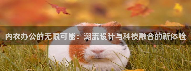 动漫天堂下载最新版：内衣办公的无限可能：潮流设计与科技融合的新体验