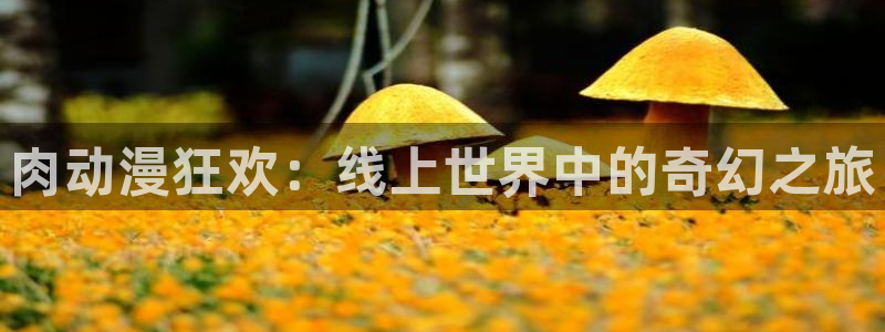 18动漫天堂：肉动漫狂欢：线上世界中的奇幻之旅